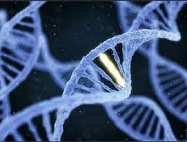 Giải thích công nghệ gen là gì?