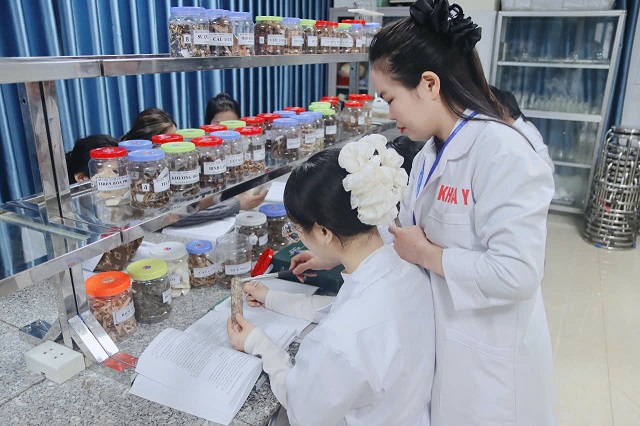 Học ngành Y học cổ truyền ra trường làm gì?