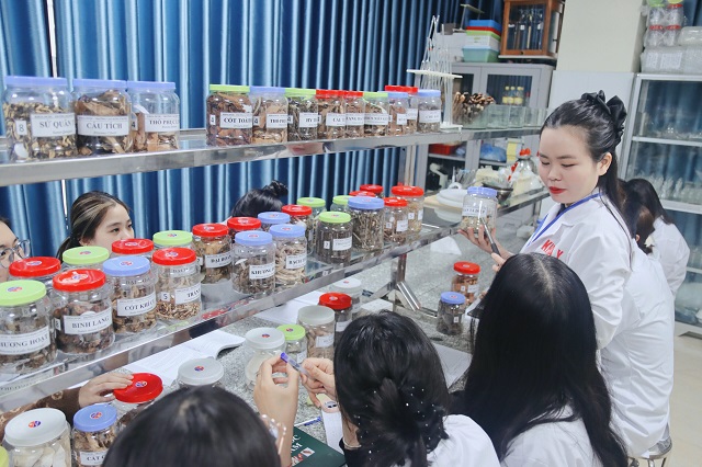 Học ngành Y học Cổ truyền ra trường làm gì?
