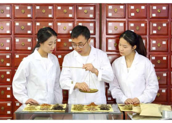 Các vị trí việc làm phổ biến của ngành Y học cổ truyền